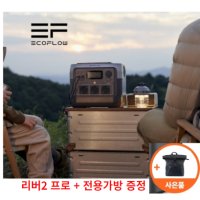 에코플로우 리버2 프로 RIVER2 PRO 리튬인산철 캠핑용 파워뱅크 전용가방