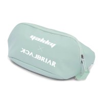 블랙브라이어 힙색 CONTAIN 2L WAISTBAG_YA GR 22