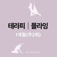 [더핫요가] 플라잉/테라피요가 1개월(주2회)