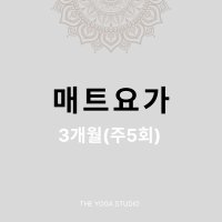 [더핫요가] 매트요가 3개월(주5회) / 힐링요가, 빈야사, 하타요가, 아쉬탕가