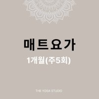 [더핫요가] 매트요가 1개월(주5회) / 힐링요가, 빈야사, 하타요가, 아쉬탕가