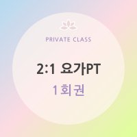 [더핫요가] Private Class 2:1 요가 PT