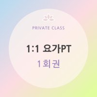 [더핫요가] Private Class 1:1 요가 PT