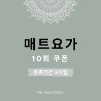 [더핫요가] 매트요가 10회 쿠폰(3개월) / 힐링요가, 빈야사, 하타요가, 아쉬탕가