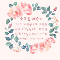 플라잉 요가 소그룹레슨 총 16회권