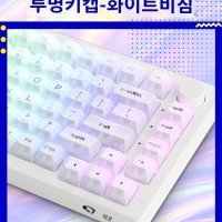 아코 akko 클리어 clear 투명 ASA 키캡 한성 필코 레오폴드