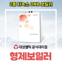 서울 인천 경기 대성쎌틱 대성보일러 DNB 13S FO