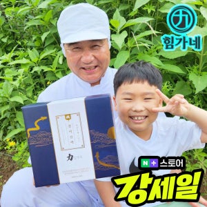 힘가네 장어 진액 민물 장어즙 엑기스 1박스(100ml X 10개입)