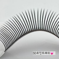 5D 포인트래쉬 볼륨 가닥 속눈썹 아이돌속눈썹 연예인