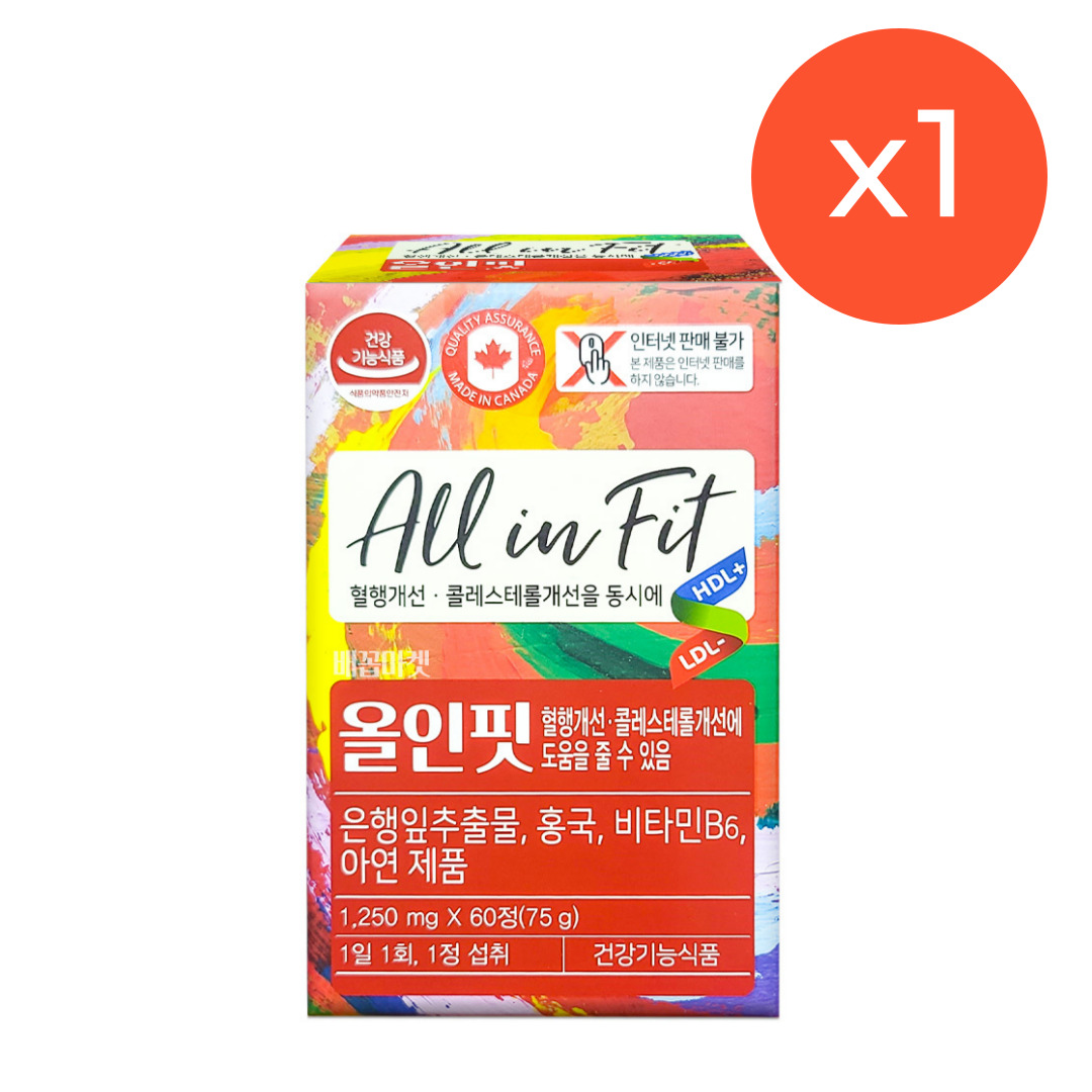 부광 올인핏 60정