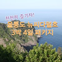 신비의 섬 울릉도 뉴씨다오펄호 3박4일패키지 (주중,주말)