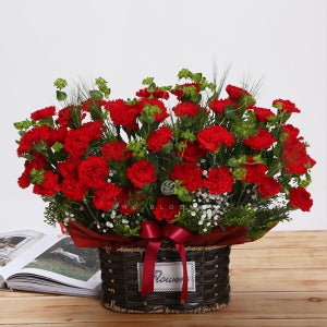 장미/카네이션 꽃바구니B형 꽃바구니 꽃다발 꽃바구니 승진 축하 영전 취임 퇴임 진급 전시회 개업 인사이동 선물