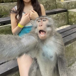 [한국어 가이드] 발리 우붓 하이라이트 투어 (왕궁 몽키포레스트 뜨갈랄랑)