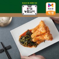 한국농협김치 총각김치 3kg 국산