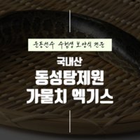 [동성탕제원]운동선수 산모 수험생 보양식 가물치즙 진액 액기스,엑기스 30포 재료 직접제조