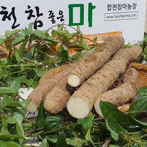 합천 알뜰마 (못난이/자투리) 소 7 kg