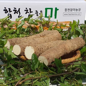합천 알뜰마 (못난이/자투리) 중 7 kg