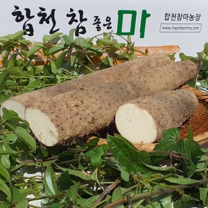 합천 알뜰마 (못난이/자투리) 대 5 kg