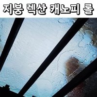 하우스 지붕 캐노피 렉산 투명 판넬 넥산 폴리카보 차양 시공 랙산 슬레이트 처마 덮개 보드