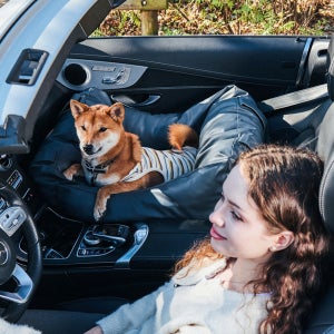 개과천선 레더 가죽 강아지 카시트 방수 고급 드라이빙킷 차량용품 외출 여행 다견다묘 시트