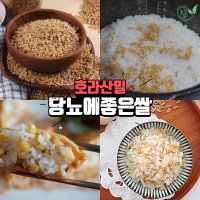 당뇨에좋은쌀 호라산밀 고대이집트쌀