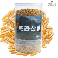 청춘건강 카무드 호라산밀 500g 당뇨에좋은 잡곡 쌀