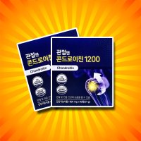 콘도로이친 퇴행성 허리 통증 콘드레이친 1200 약2개월