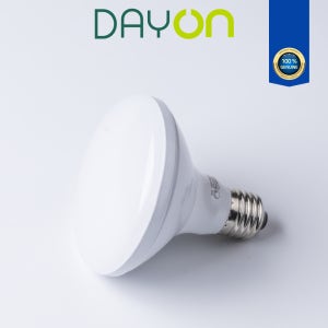 데이온 LED 조명 PAR30 확산형 20W