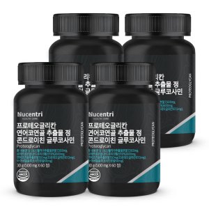 프로테오글리칸 연어코연골 추출물 콘드로이틴황산 프리테오글리칸 우슬 효능 4박스