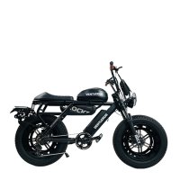 세임바이크 전기자전거 벤틀러스 XT20 T-에디션 레트로바이크 전동자전거 자토바이