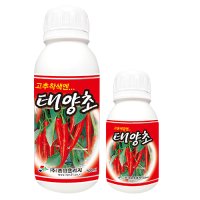 [태양초 300ml] 고추 전용 착색제 영양제 비료