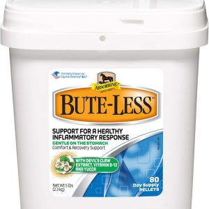 Absorbine 앱소르빈 Bute-Less 부츠 리스 컴포트 리커버리 영양제, 건강한 염증 반응 지원 5파운드(2.3kg) 80일분