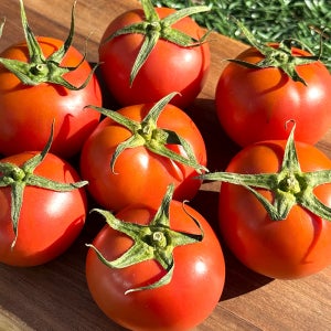 유기농 무농약 완숙 토마토 찰토마토 당일수확 산지직송 2kg 3kg 5kg