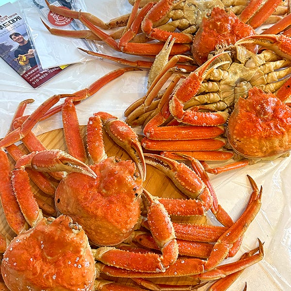 우리푸드 러시아 자숙대게 1kg 특A급 박달대게 활대게 선어 꼬물이 수율보장