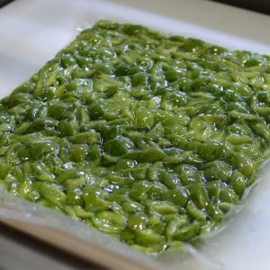 깐매실, 장아찌매실, 쪽매실 2.5kg