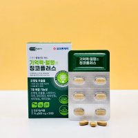 징코 플러스 500mg 1개월분 은행잎 추출 영양제 기억력 혈행건강 개선