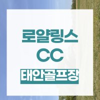 태안 로얄링스cc 가성비좋은 36홀 골프장