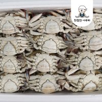 대용량 냉동 꽃게 10kg 업소용 벌크 암꽃게 숫꽃게 국산