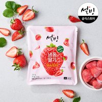 설빙 아이스 냉동 딸기 100g 1봉