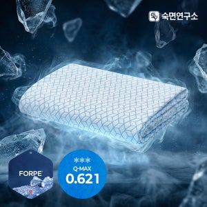 숙면연구소 코오롱 포르페 아이스폴 냉감패드 여름 쿨링 고정밴드 이불 침대패드 SS