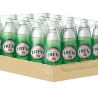 탄산수 트레비 자몽 300ml 페트 20입 음료수 새참