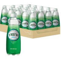 탄산수 트레비 플레인 300ml 페트 20입 음료수 새참