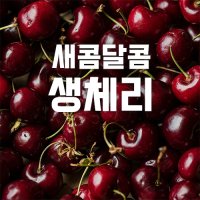 항공직송 프리미엄 체리 미국산 칠레산 생체리 500g 1kg 2kg