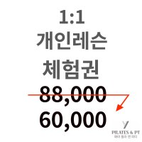 1:1 개인레슨 체험권(1회)