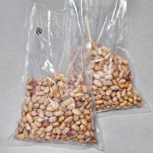 단백질 가득한 건강콩 냉동 손질 호랑이콩