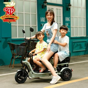 전기 세발 자전거 작은 노인 배터리 자동차 가성비 배달 출퇴근