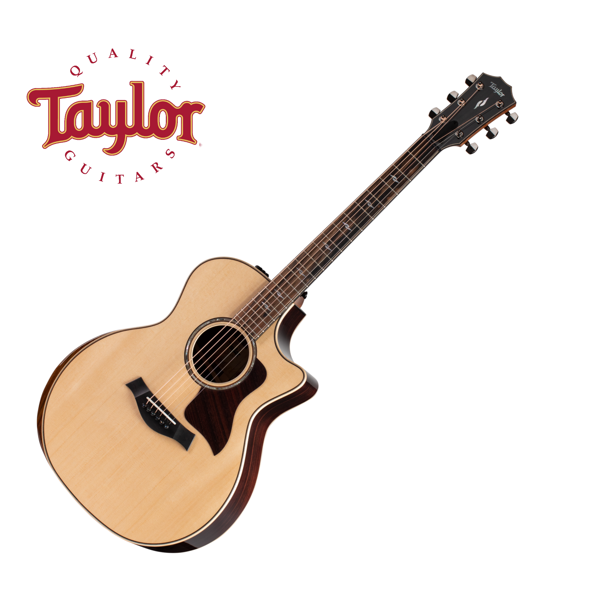 Taylor 814ce Acoustic Guitar (테일러 814ce 어쿠스틱 기타)