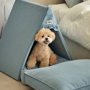 투들리 파니니 하우스 슬개골 케어 강아지 개 집 고양이 숨숨집 텐트