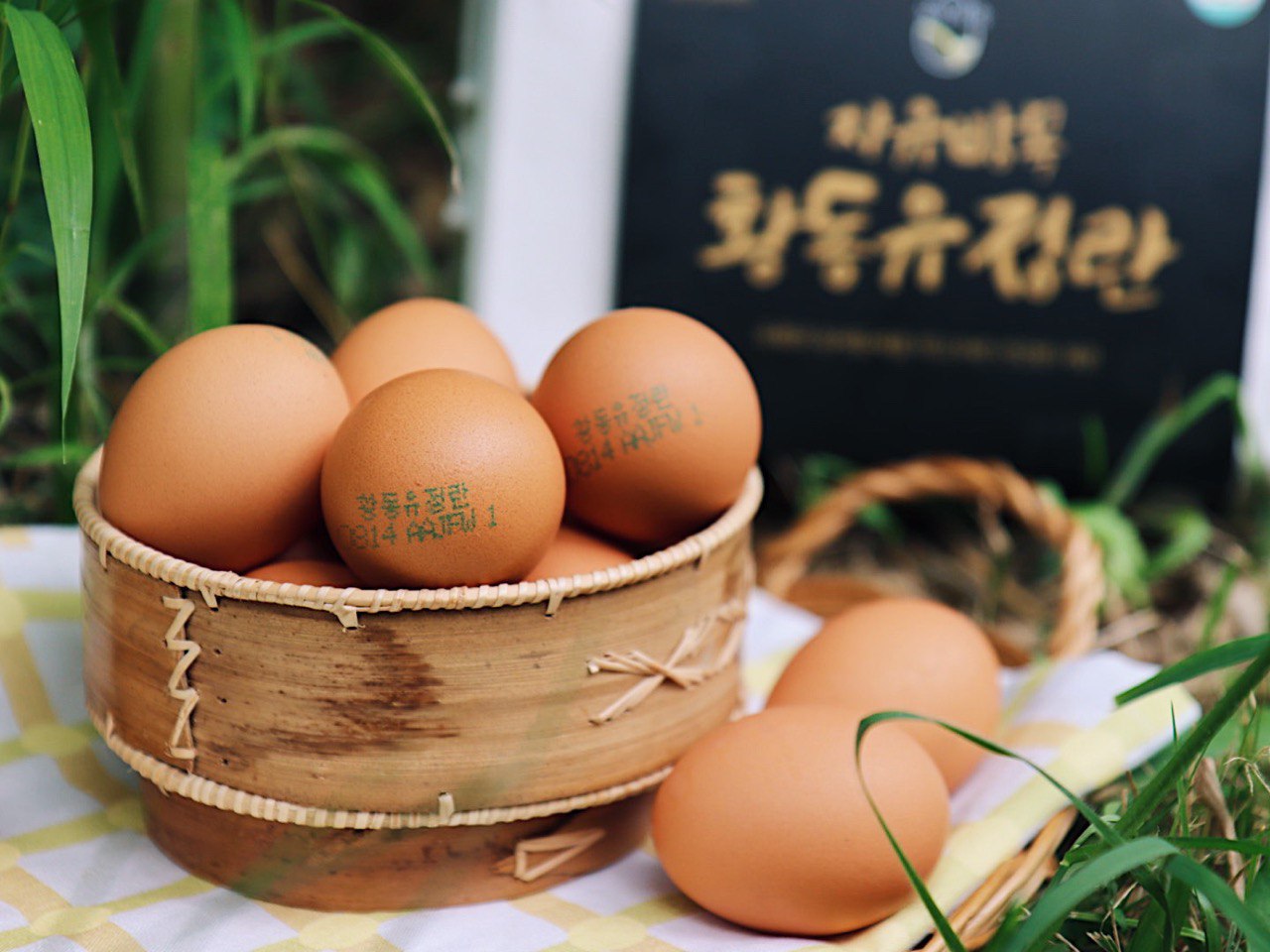 난각번호1번 당일산란한 자유방목 자연방사 HACCP 무항생제 유황먹인 황동유정란