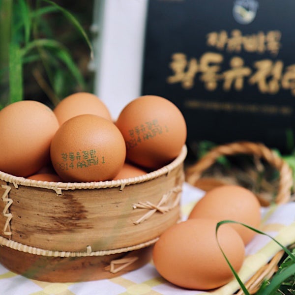 난각번호1번 당일산란한 자유방목 자연방사 HACCP 무항생제 유황먹인 황동유정란